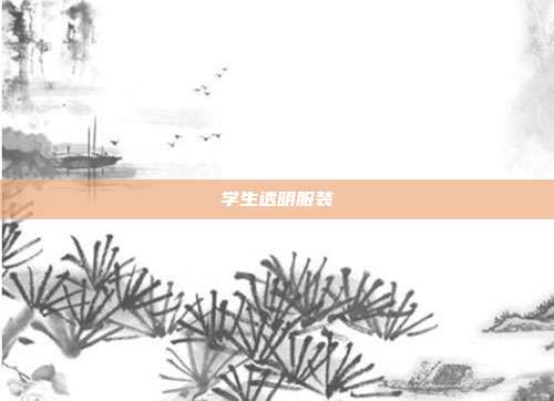 学生透明服装