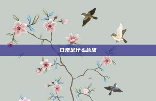 日奈是什么意思