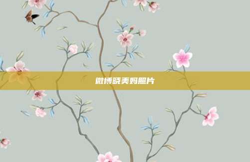 微博晓美妈照片