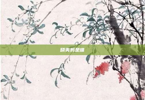 晓美妈是谁