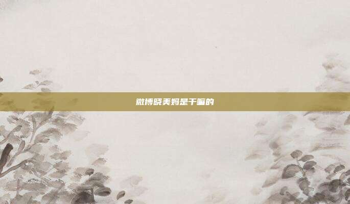 微博晓美妈是干嘛的