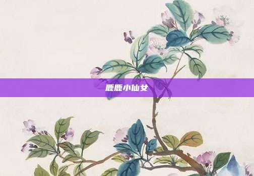 鹿鹿小仙女