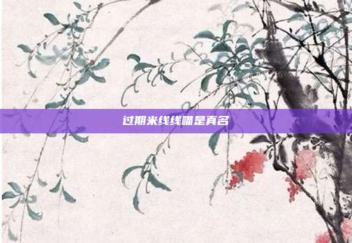 过期米线线喵是真名