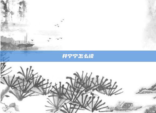 井宁宁怎么读