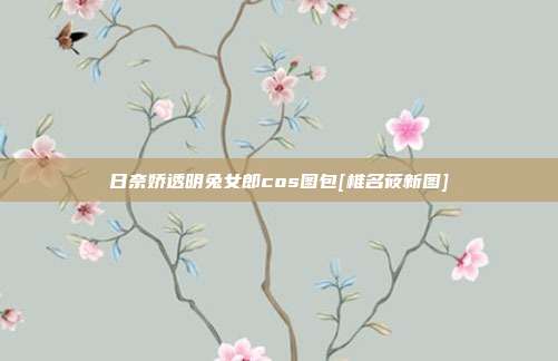 日奈娇透明兔女郎cos图包[椎名莜新图]