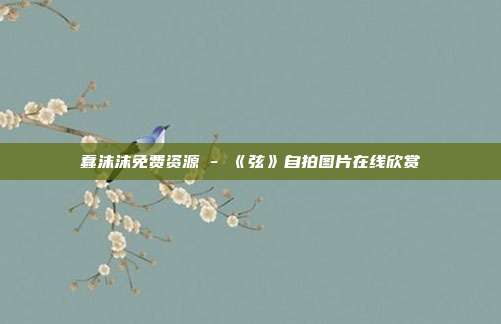 蠢沫沫免费资源 - 《弦》自拍图片在线欣赏