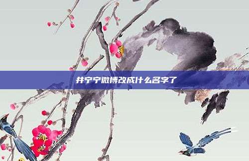 桜井宁宁微博改成什么名字了